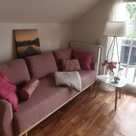 Apartment Am Stadtsee Molln Bagian luar foto